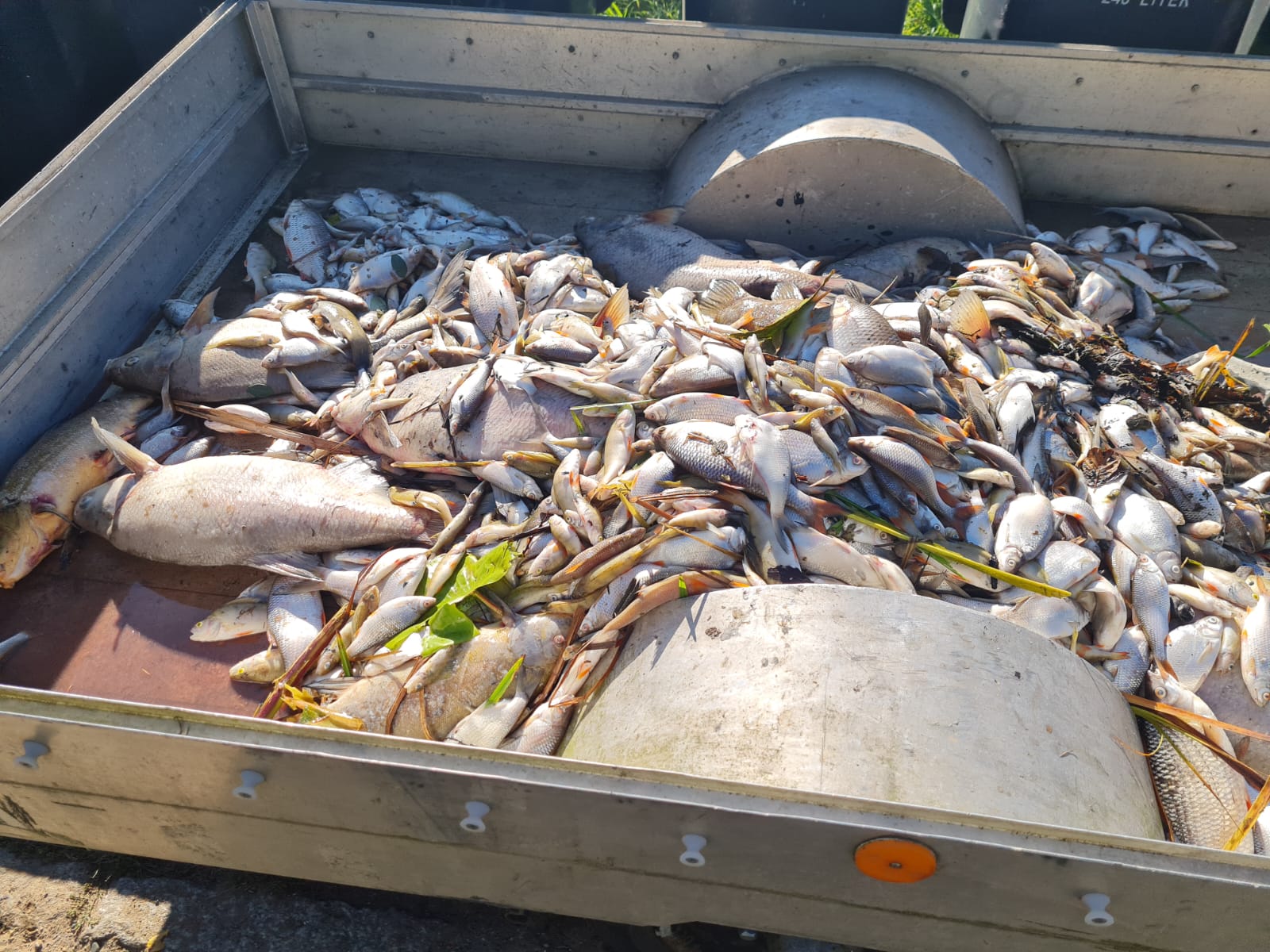 Sauerstoffmangel 2023